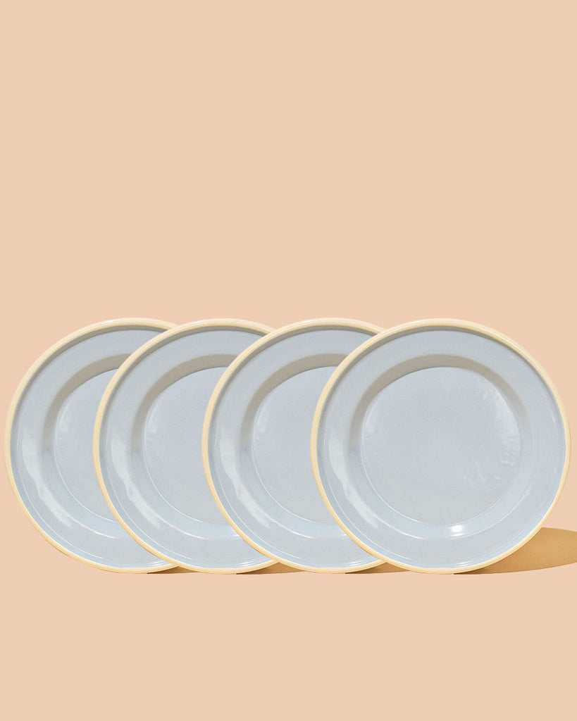 ENAMELWARE PLATE SET